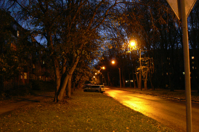 Осенний вечер в Новосибирском Академгородке