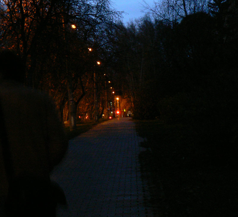 Осенний вечер в Новосибирском Академгородке